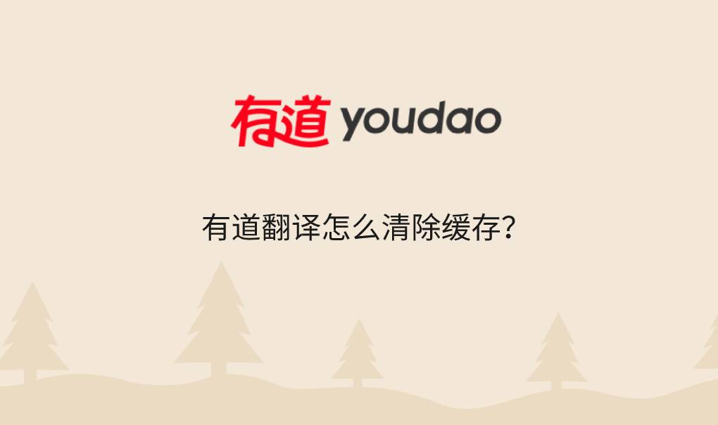 有道翻译怎么清除缓存？